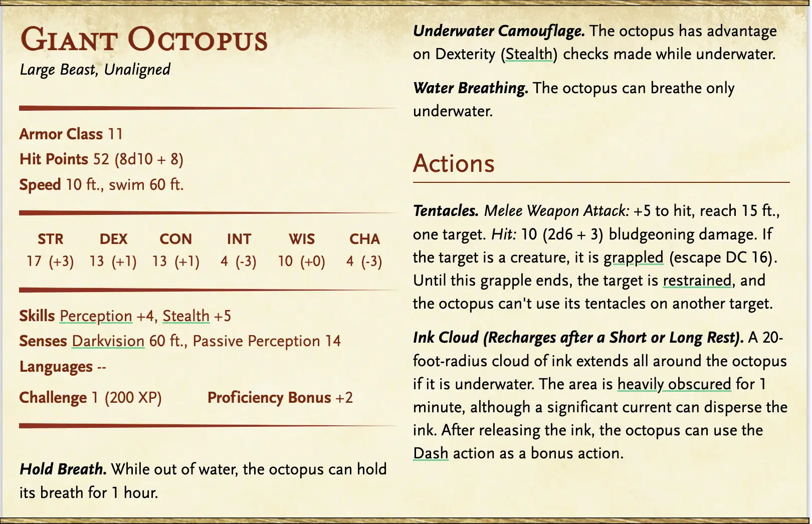 Octopus 02